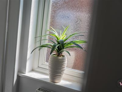 Picture 39